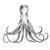 Be_Accepted_Octopus 1